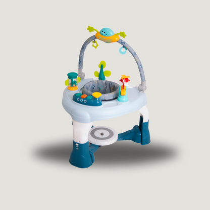 LoveNcare | Activity Play centre - 2 options
